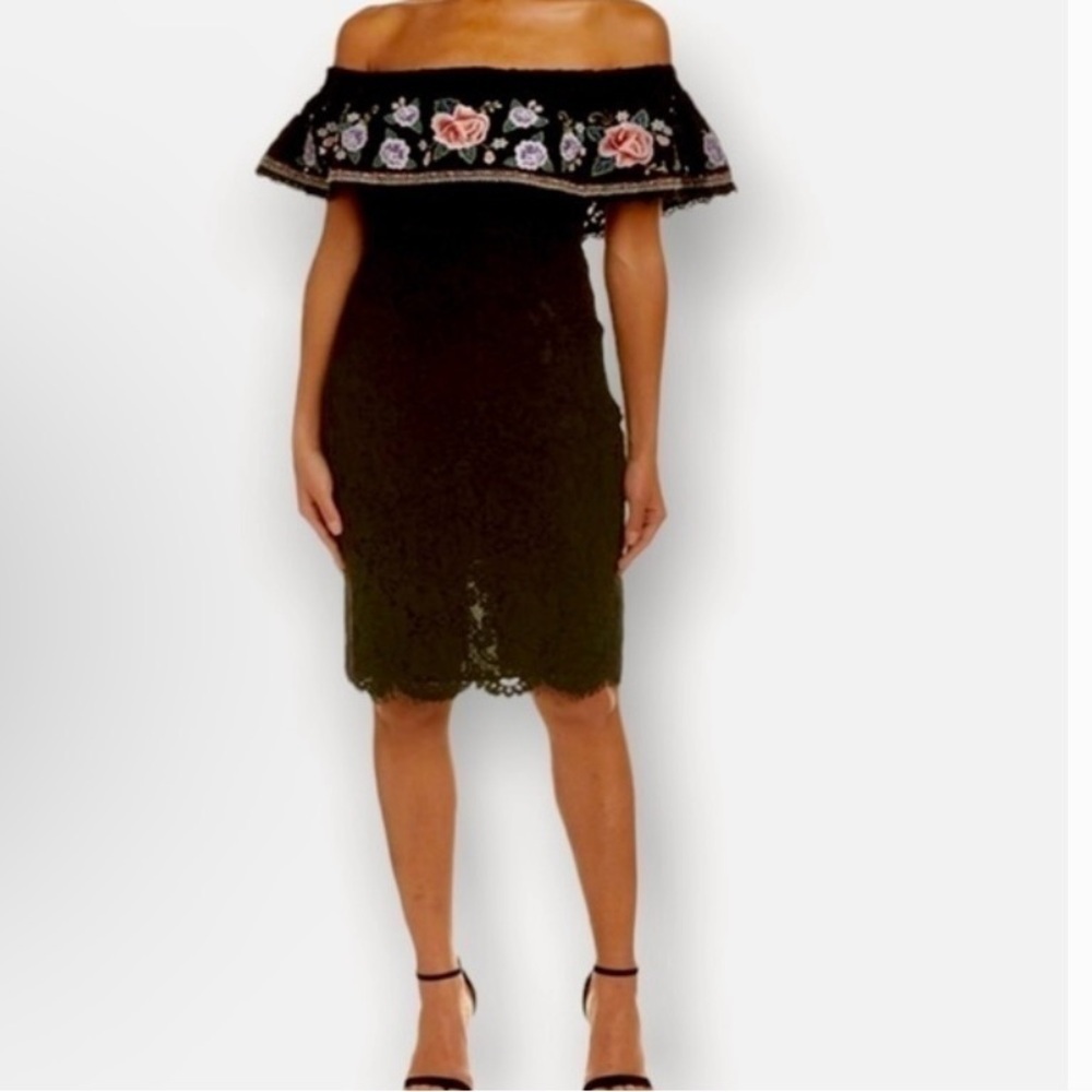 CHAMPAGNE & STRAWBERRY Anthro Floral Embroidery Off Shoulder Lace Dress